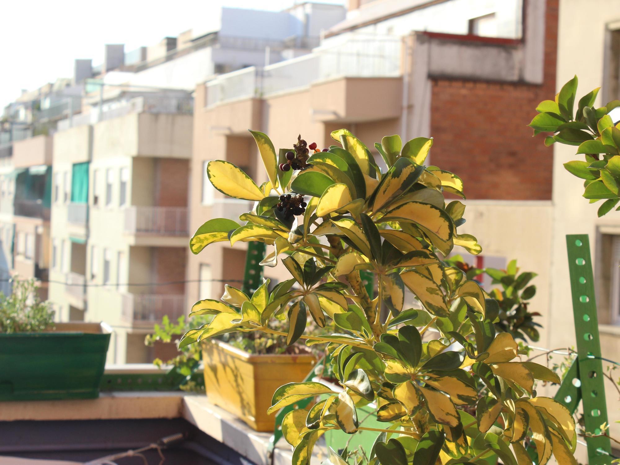 Onefam Sants Albergue Barcelona
